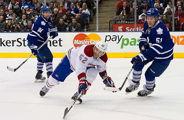 Mathieu Darche and the Maple Leafs